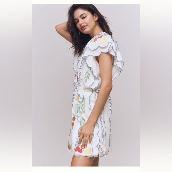Farm Rio x Anthropologie Embroidered Ruffle mini Dress - Picture 4 of 15